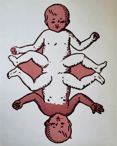 تصویر شاخص پروژه فردی غربالگری