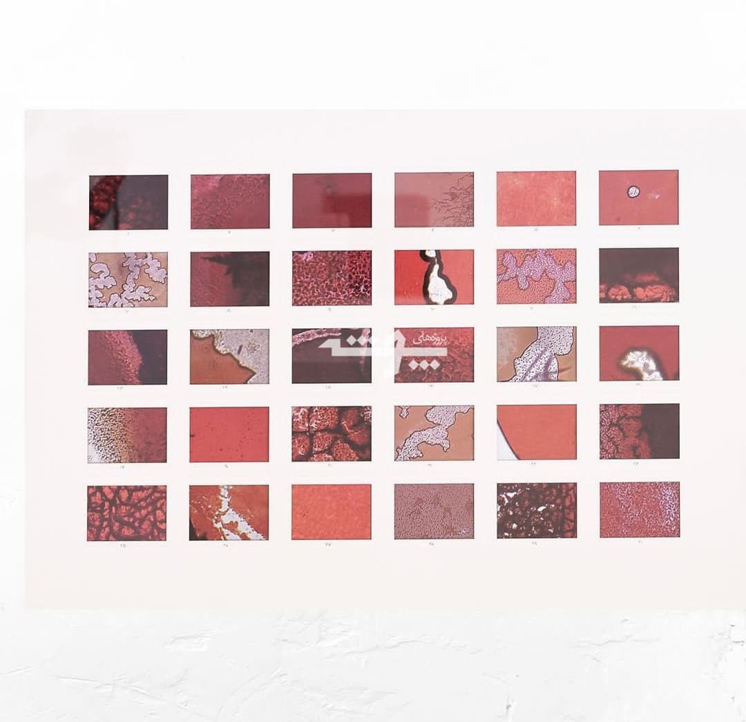 اثری از آنیتا هاشمی‌مقدم