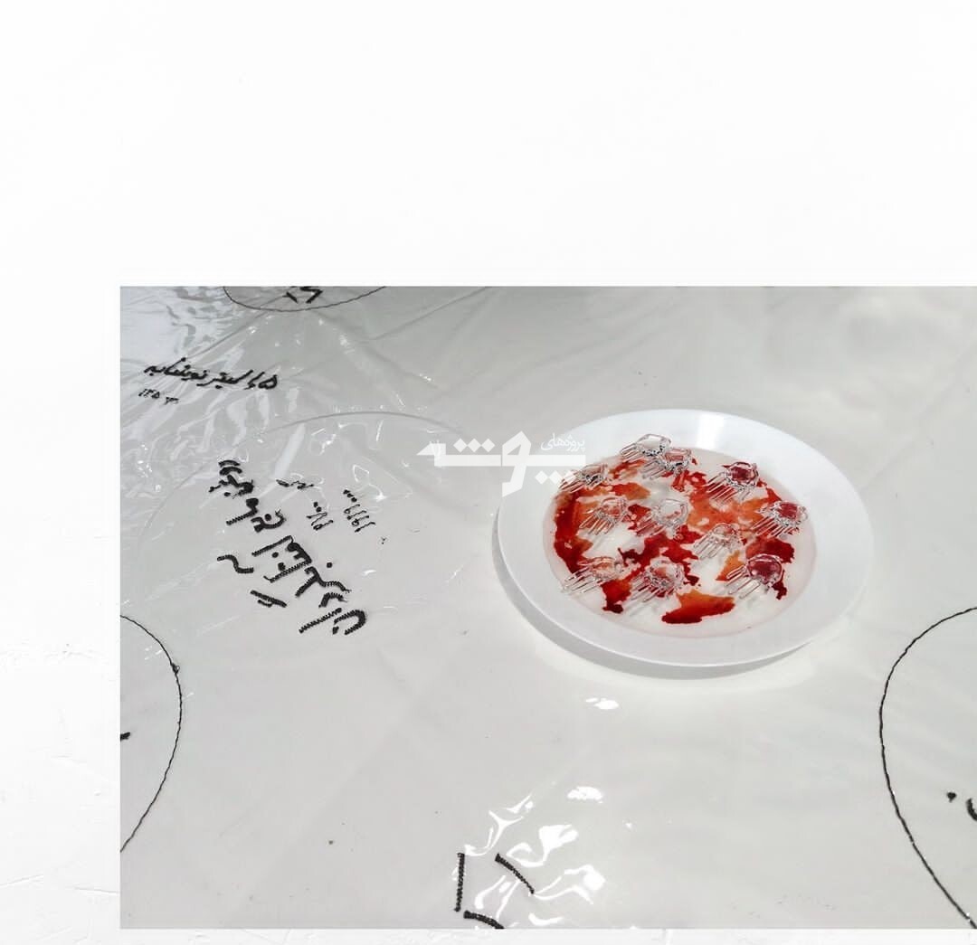 اثری از المیرا ابوالحسنی