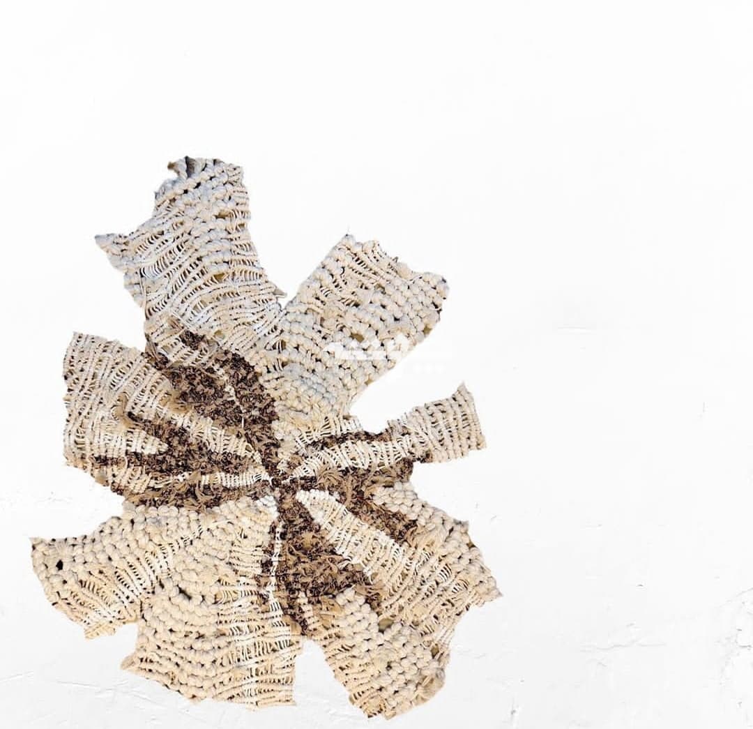 اثری از فریده عبادی