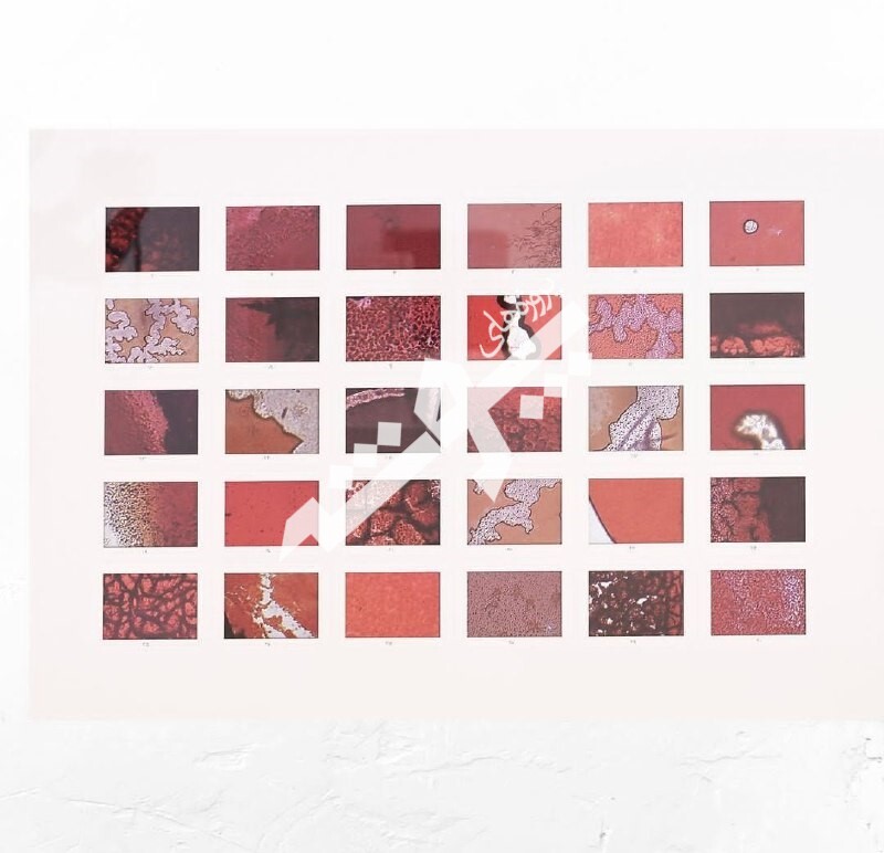 اثری از مجموعه "کِشتگاه"